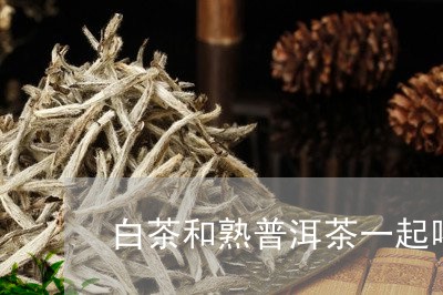 白茶和熟普洱茶一起喝/2023101700605