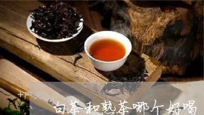 白茶和熟茶哪个好喝/2023072268270