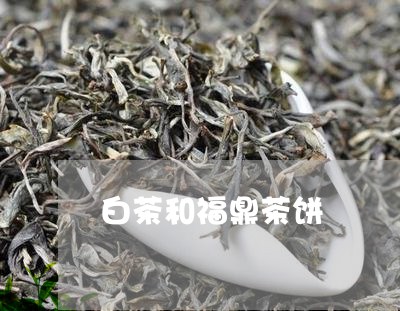 白茶和福鼎茶饼/2023120317292