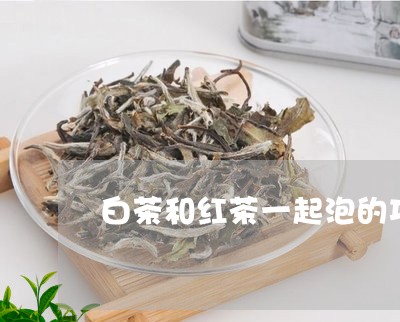 白茶和红茶一起泡的功效和作用/2023111474038