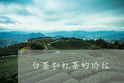 白茶和红茶的价位/2023080282825