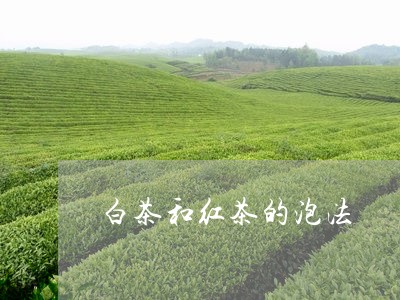 白茶和红茶的泡法/2023080248281