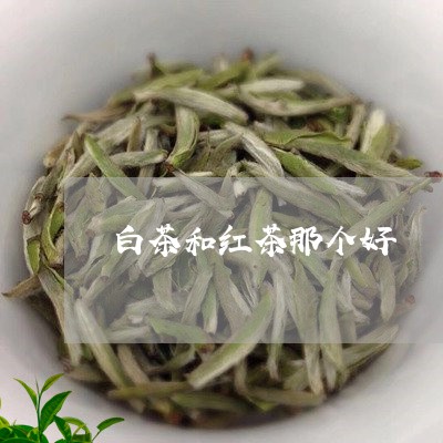 白茶和红茶那个好/2023080249393