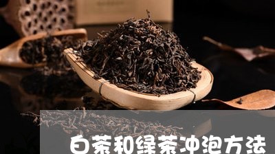 白茶和绿茶冲泡方法/2023072381593