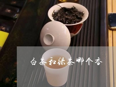 白茶和绿茶哪个香/2023080249504