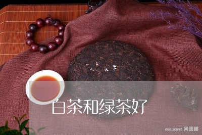 白茶和绿茶好/2023051948471