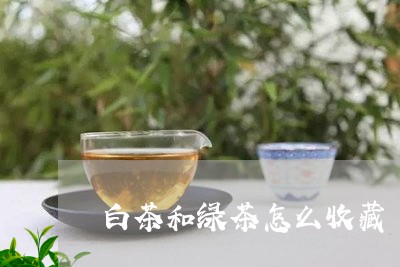 白茶和绿茶怎么收藏/2023072327262