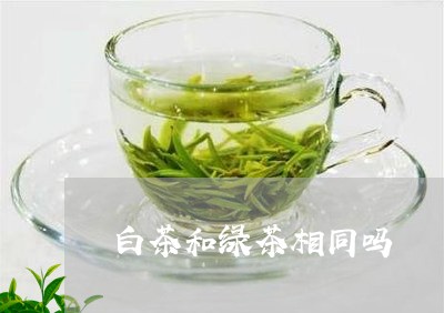 白茶和绿茶相同吗/2023080205058