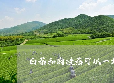 白茶和肉桂茶可以一起喝吗/2023110670503