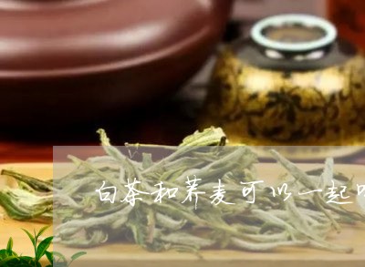 白茶和荞麦可以一起喝吗/2023082577069