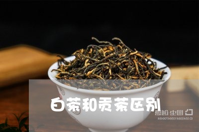 白茶和贡茶区别/2023060554927