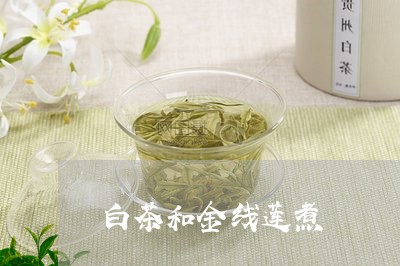 白茶和金线莲煮/2023060549684