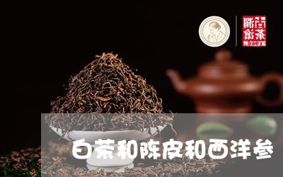 白茶和陈皮和西洋参/2023072294148