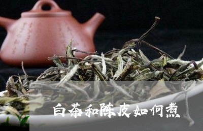 白茶和陈皮如何煮/2023080209629