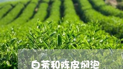 白茶和陈皮焖泡/2023060417340