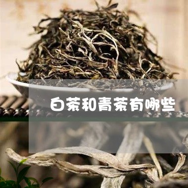 白茶和青茶有哪些/2023080232603