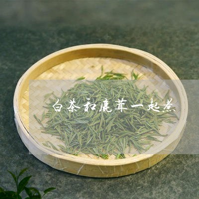 白茶和鹿茸一起煮/2023080204958