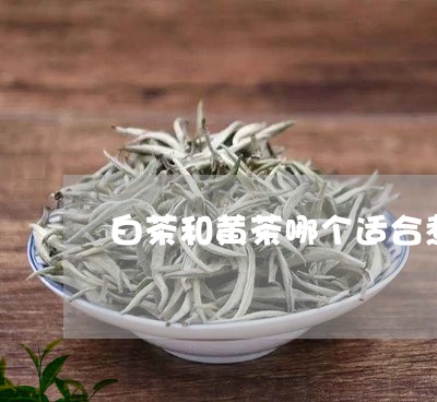 白茶和黄茶哪个适合煮/2023100678692