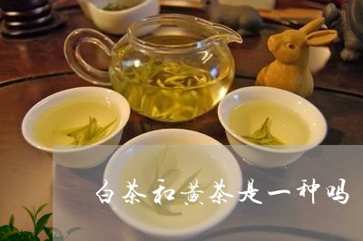 白茶和黄茶是一种吗/2023072221717