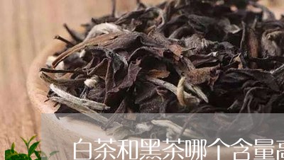 白茶和黑茶哪个含量高/2023100658581