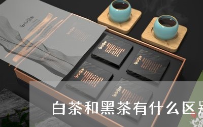 白茶和黑茶有什么区别/2023100659371