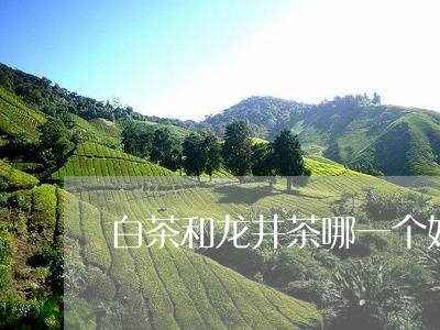 白茶和龙井茶哪一个好/2023100591591