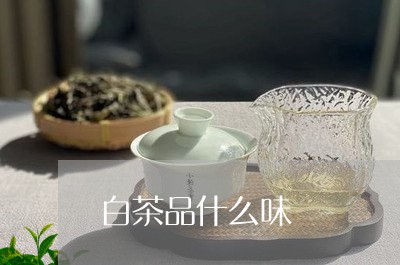 白茶品什么味/2023051929592