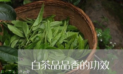 白茶品品香的功效/2023080285258