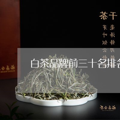 白茶品牌前三十名排名/2023100563815