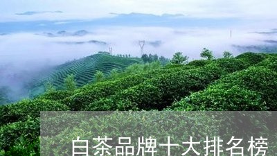 白茶品牌十大排名榜/2023072229483