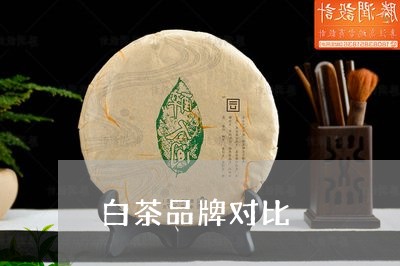 白茶品牌对比/2023051930697