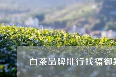 白茶品牌排行找福御泰/2023100567251