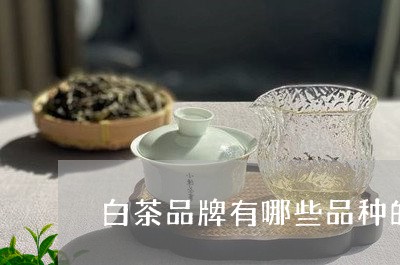 白茶品牌有哪些品种的茶叶/2023111552826