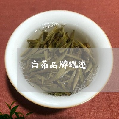 白茶品牌概述/2023051936370