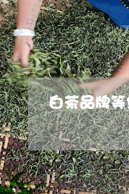 白茶品牌等级分类图/2023072269475