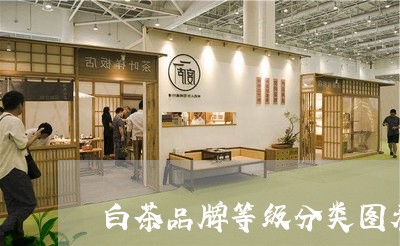 白茶品牌等级分类图表/2023100582936