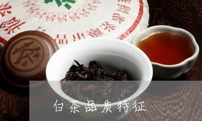 白茶品质特征/2023051995929