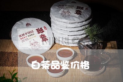 白茶品鉴价格/2023051940592