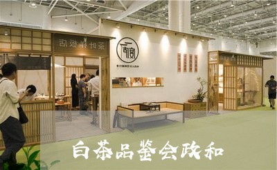 白茶品鉴会政和/2023112475715