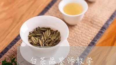 白茶品鉴师教学/2023060491505