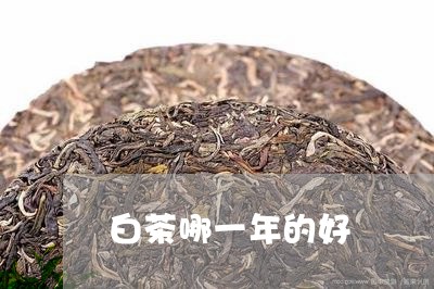 白茶哪一年的好/2023060433735