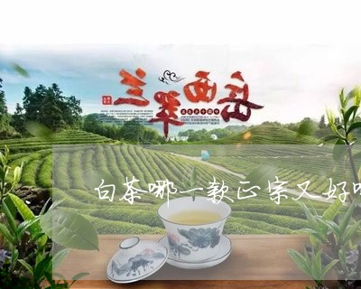 白茶哪一款正宗又好喝/2023082544138