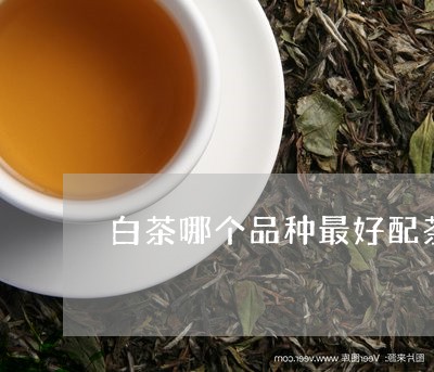 白茶哪个品种最好配茶/2023100564727