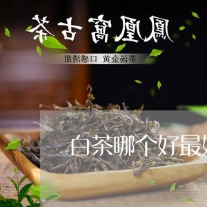 白茶哪个好最好/2023060420401