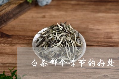 白茶哪个季节的好处/2023072285141