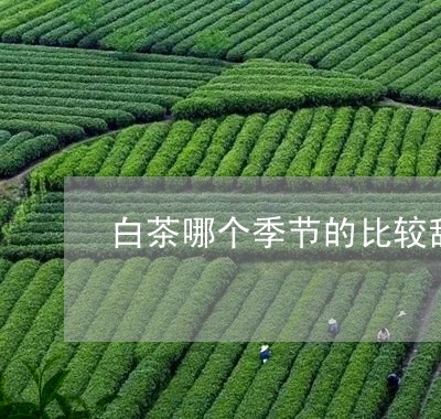 白茶哪个季节的比较甜/2023100546140