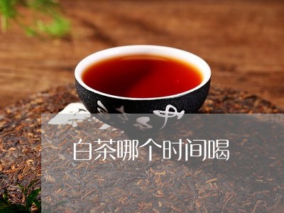 白茶哪个时间喝/2023100514950