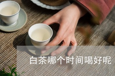 白茶哪个时间喝好呢/2023072284816