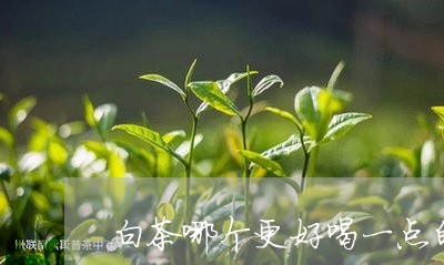 白茶哪个更好喝一点的/2023100554370