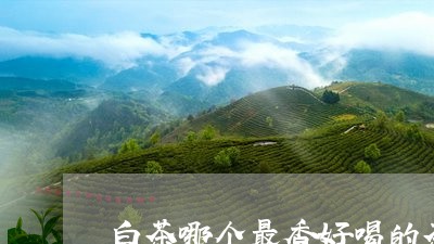 白茶哪个最香好喝的茶/2023100544057